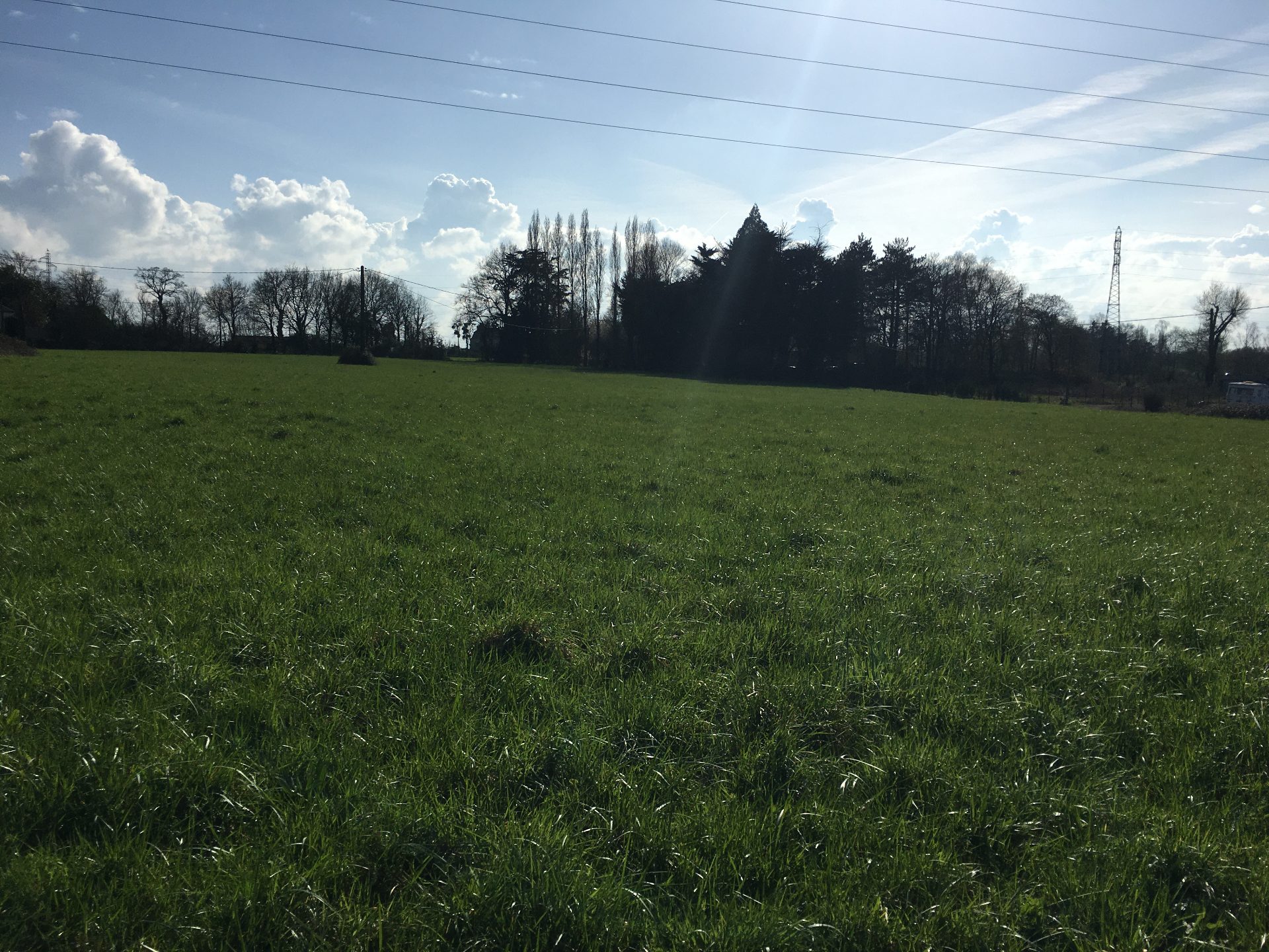Location de pré pour cheval en Bretagne : trouver un terrain facilement